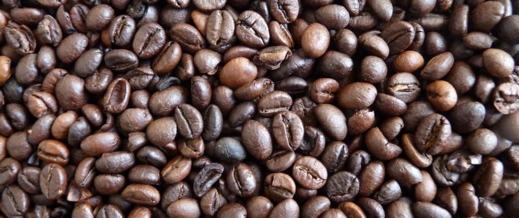 shampoo-de-cafeina