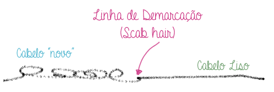 Scab hair: o que é e como tratar o problema - Prohall Professional