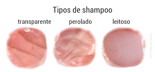 como escolher shampoo certo perolado transparente leitoso