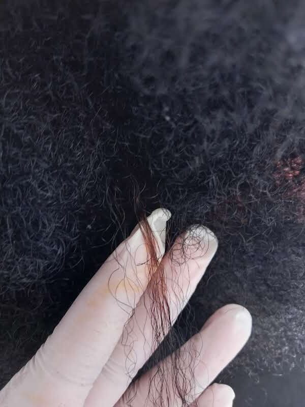 Como fazer teste de mechas. Como fazer mechas em cabelos cacheados sem danificar os cachos